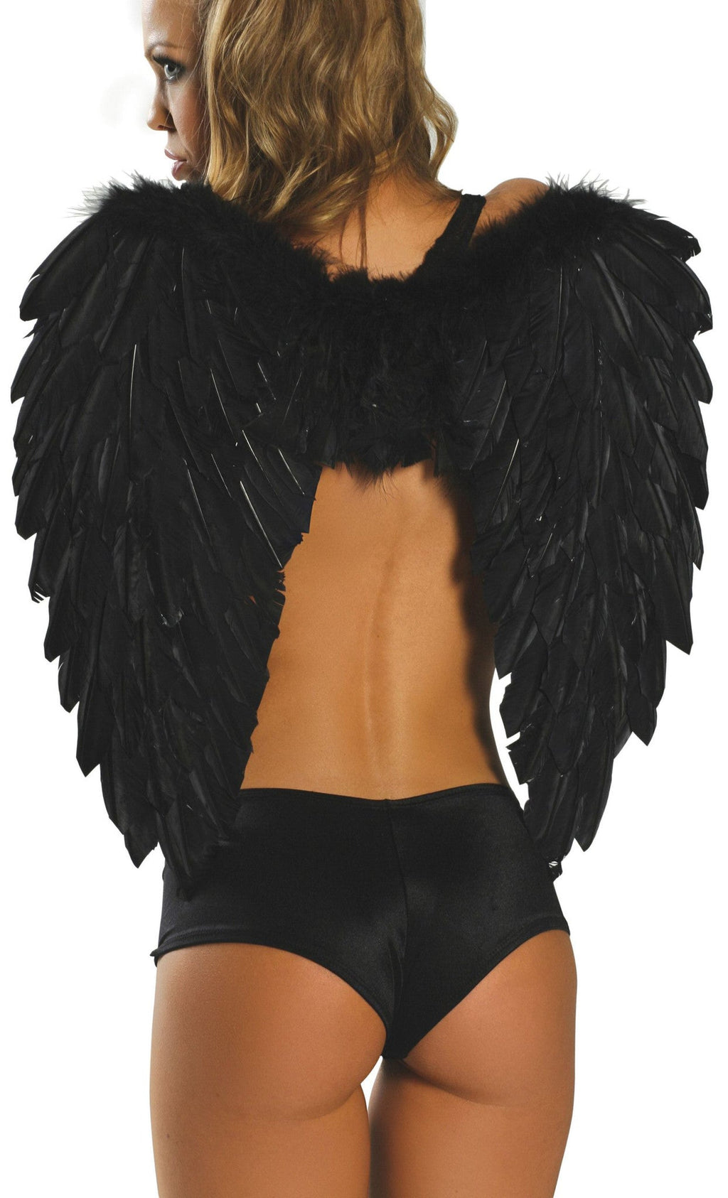 Feathered Wings  - Costume Accessory-Roma Costume